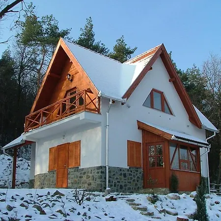 Szarvas Panzio *